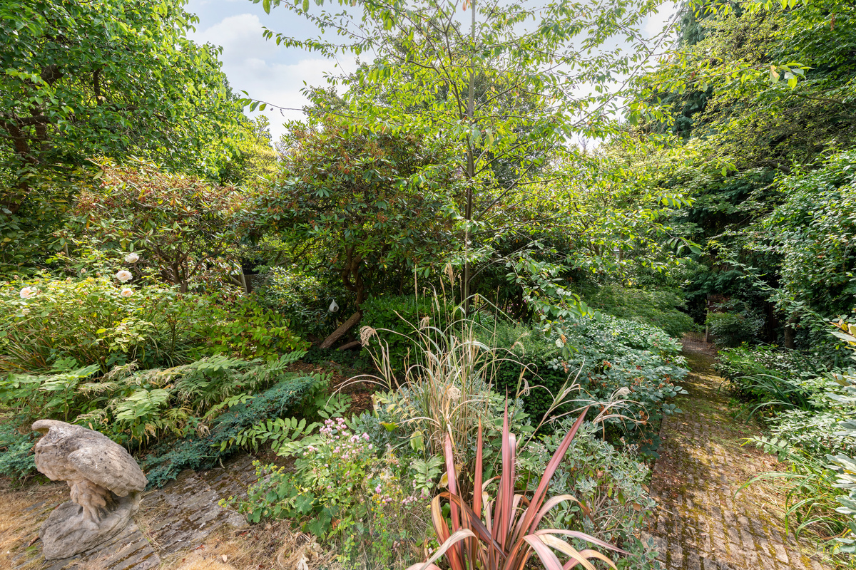 Medium 28 wood lane lo 16