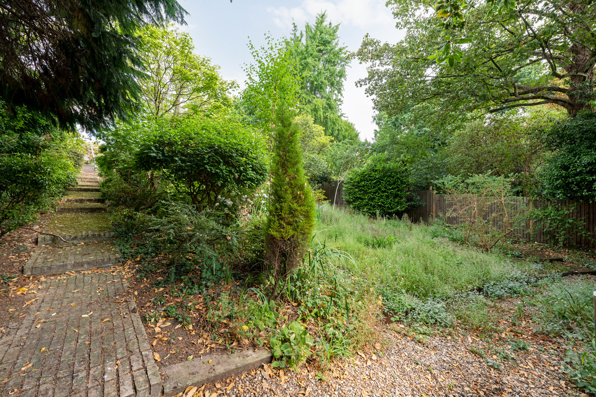 Medium 28 wood lane lo 17