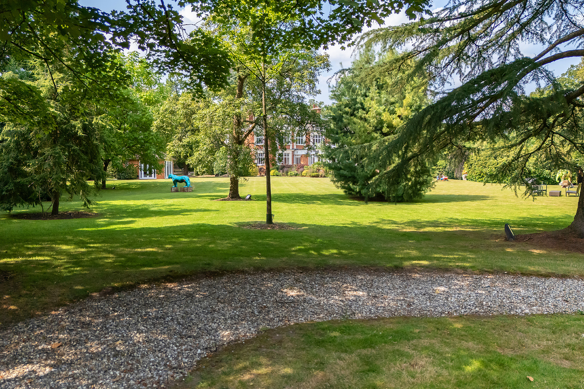 Medium oakfield house drone hi 54