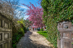 Thumb pitt house 4167 gdns1