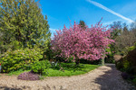 Thumb pitt house 4167 gdns3