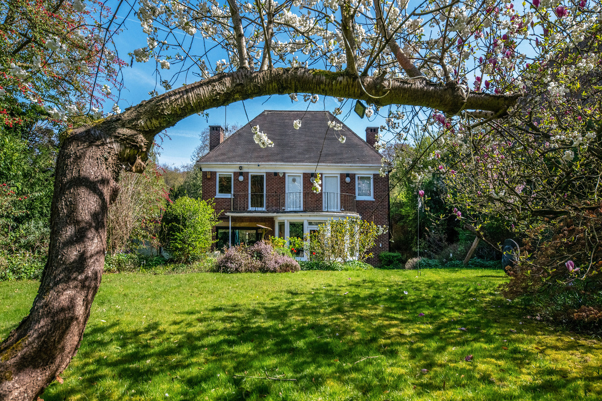Medium pitt house 4167 gdns4