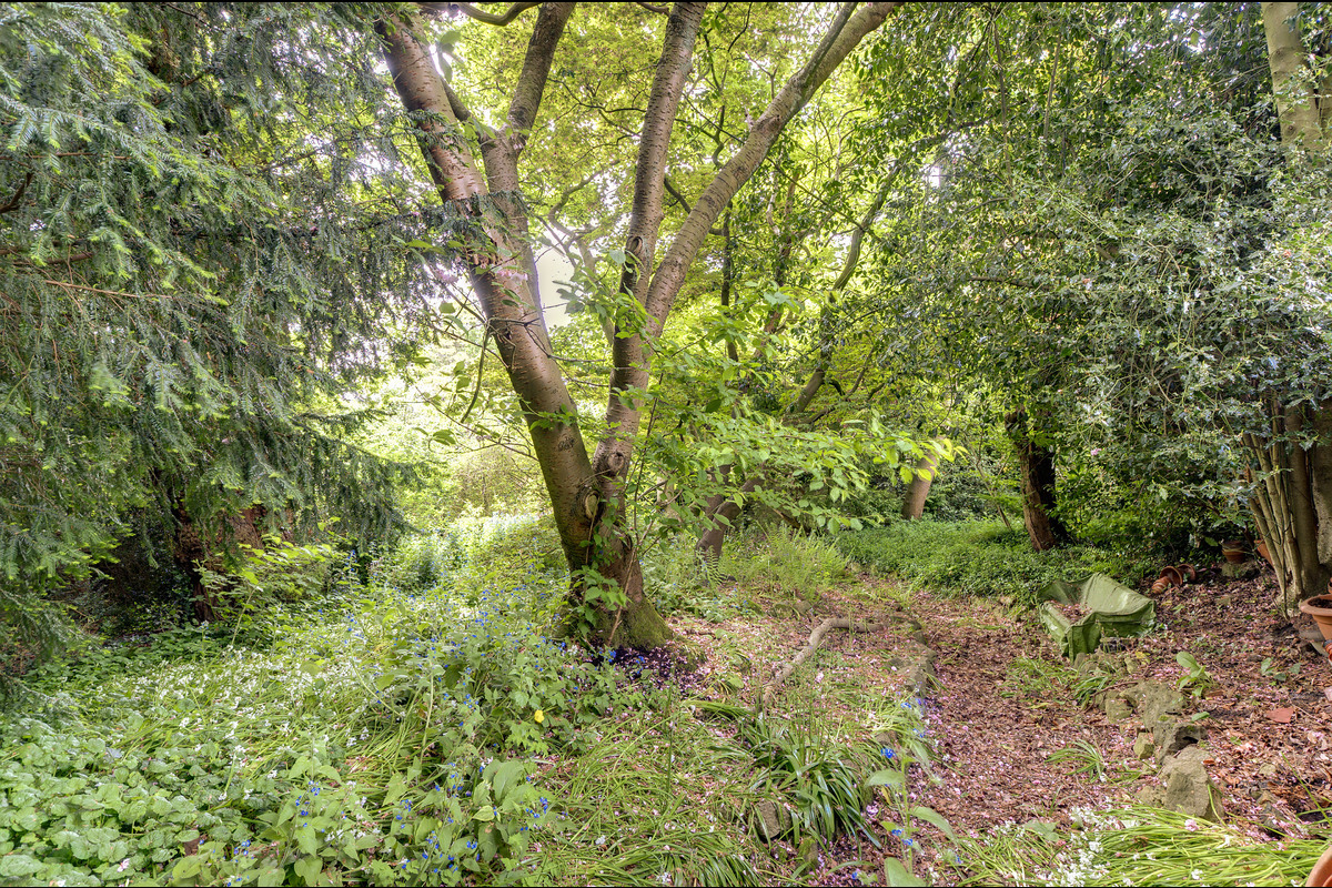 Medium 58a redington road 337278 woods rgb