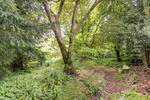 Thumb 58a redington road 337278 woods rgb