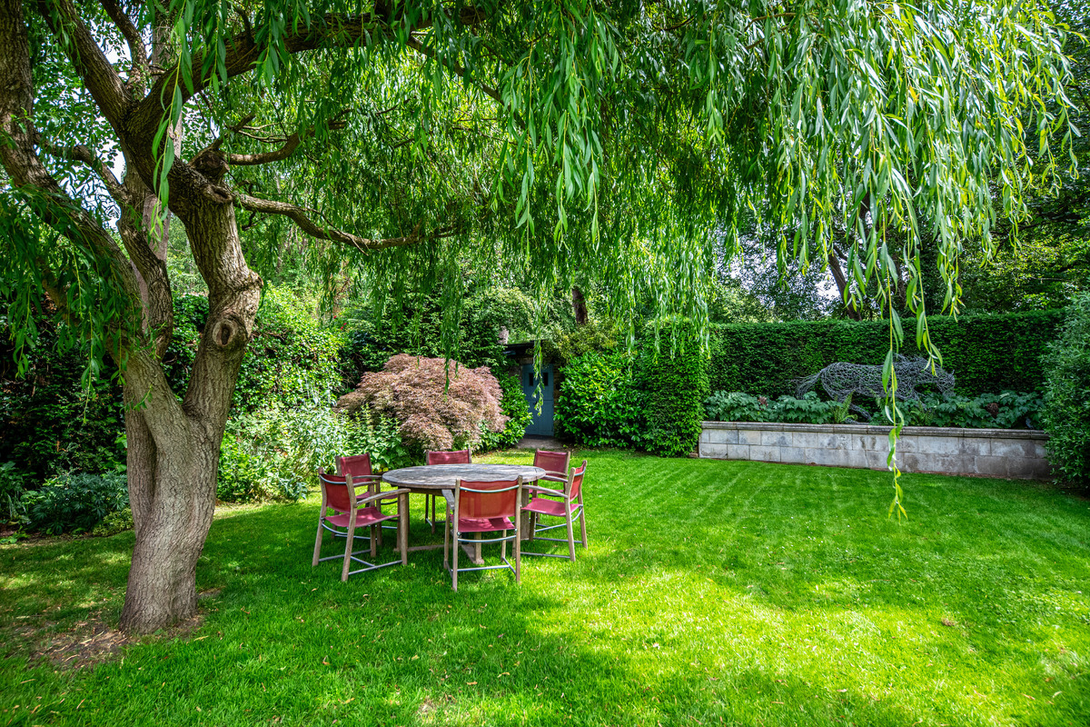 Medium 25 broadlands road 4342 gdn4